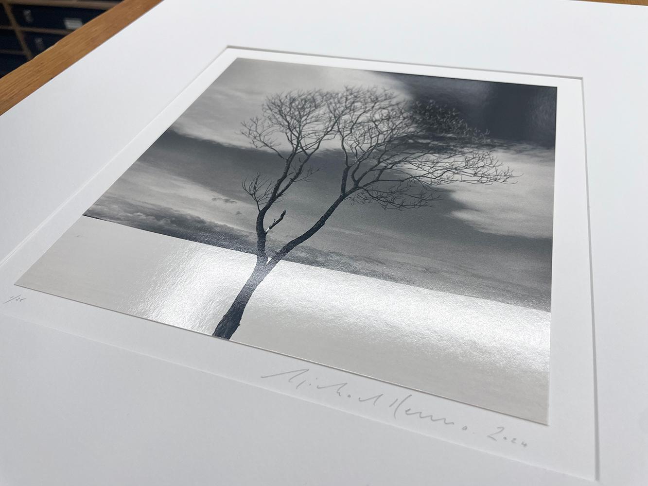 Onishi Tree, Study 3, Hokkaido, Japan von Michael Kenna ist eine schwarz-weiße Landschaftsfotografie eines einzelnen kahlen Baumes vor einem dramatischen Himmel.

Gelatinesilberdruck
Druckdatum: 2025
Bildgröße: 8 x 7,75 Zoll.
Größe der Matte: 20 x