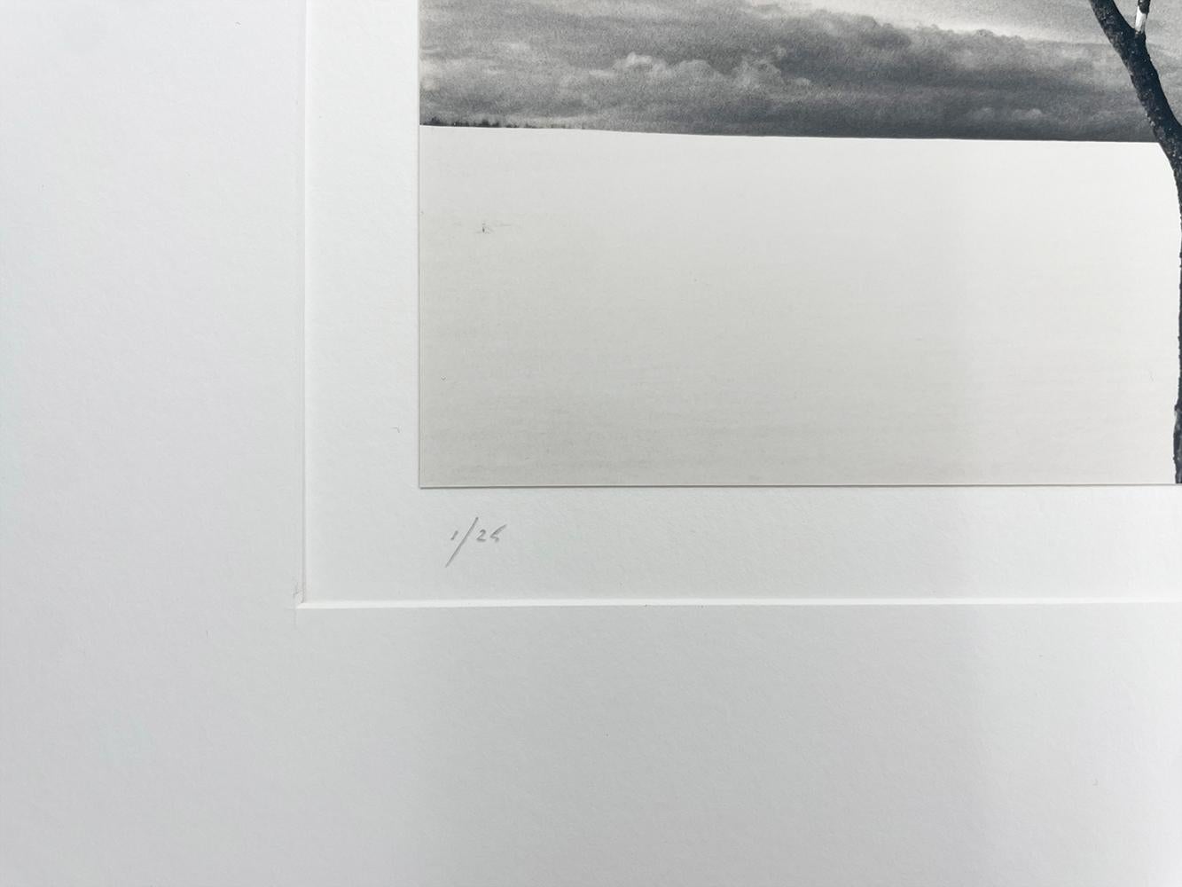 Onishi-Baum, Studie 3, Hokkaido, Japan - Wolken, minimalistisch, kontrastreich im Angebot 1