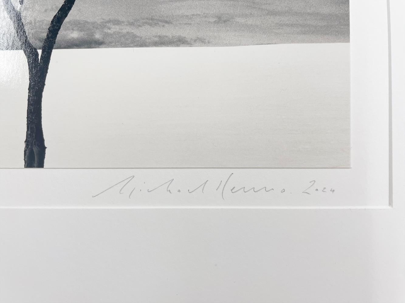 Onishi-Baum, Studie 3, Hokkaido, Japan - Wolken, minimalistisch, kontrastreich im Angebot 2