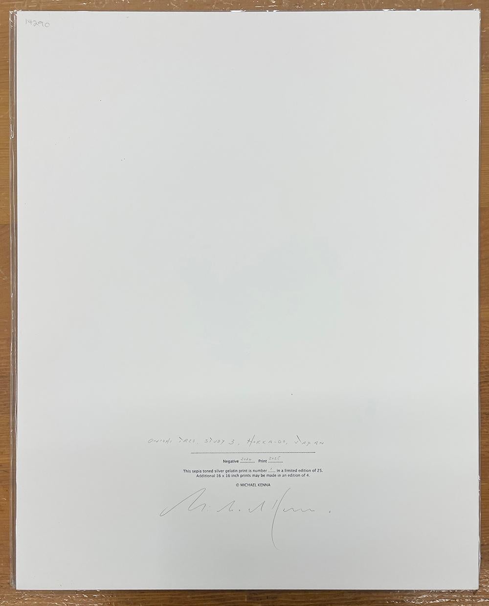 Onishi-Baum, Studie 3, Hokkaido, Japan - Wolken, minimalistisch, kontrastreich im Angebot 3