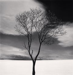 Albero di Onishi, Studio 3, Hokkaido, Giappone - Nuvole, Minimal, Alto Contrasto