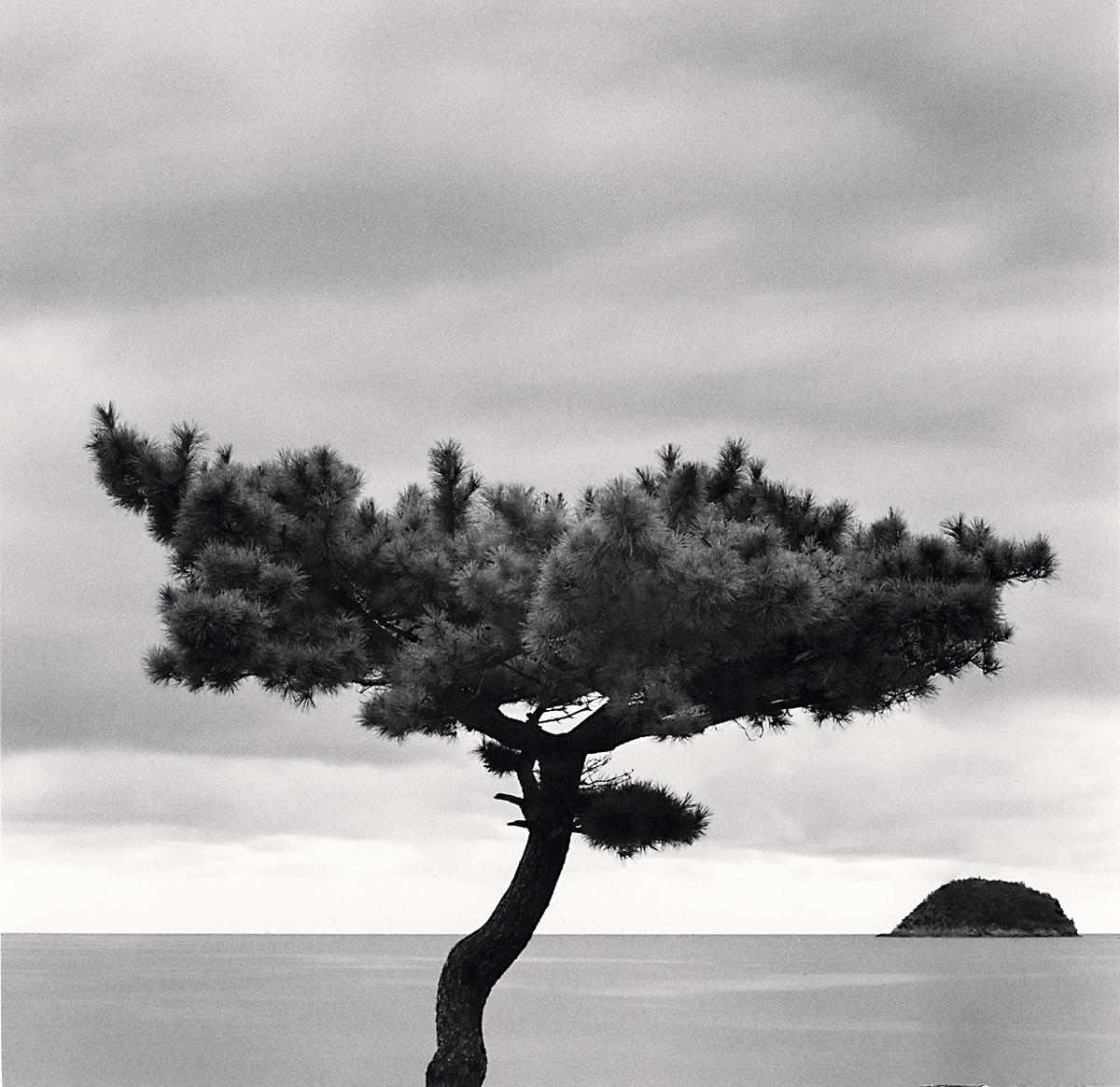Pine Tree and Nago Island, Tsuda, Shikoku, Japan von Michael Kenna zeigt eine einsame Kiefer, die vor dem Meer steht. Am Horizont erscheint eine kleine Insel, die die Form des Baumes nachahmt. 

Pine Tree and Nago Island, Tsuda, Shikoku, Japan von