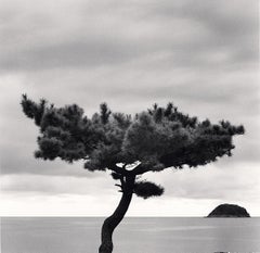Pine Tree and Nago Island, Tsuda, Shikoku, Japan by Michael Kenna, 2022