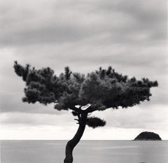 Pine Tree and Nago Island, Tsuda, Shikoku, Japan, limited edition photograph 
