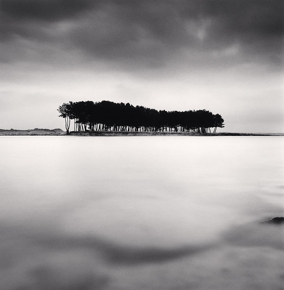 Michael Kenna Black and White Photograph - Pine Trees, Study 4, Wolcheon, Gangwondo, South Korea,  silver gelatin print 