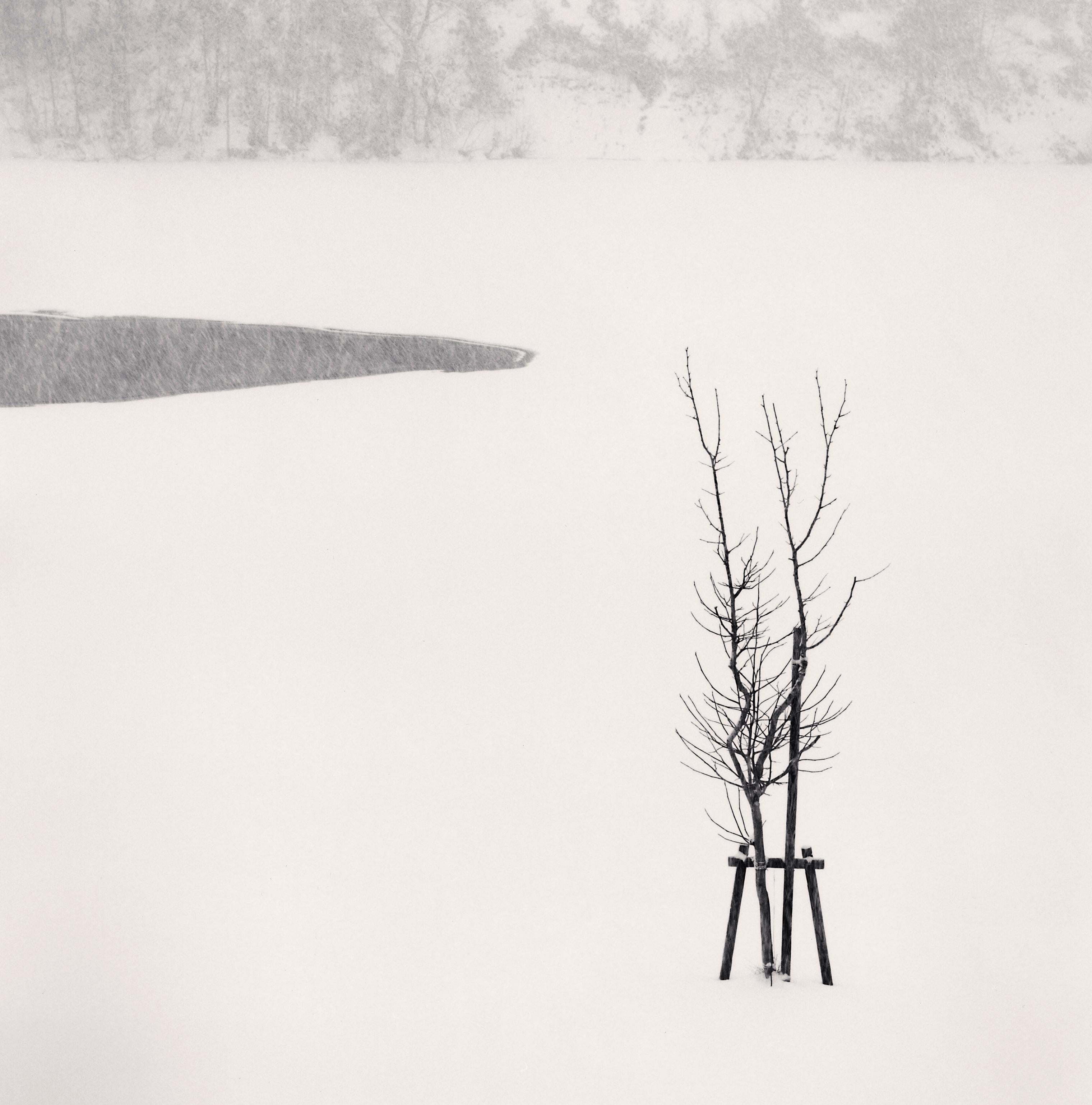 Michael Kenna Black and White Photograph – Bäumchen im Schnee, Bifuka, Hokkaido