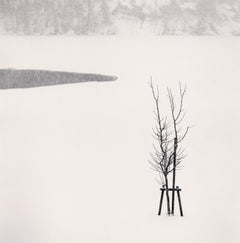 Bäumchen im Schnee, Bifuka, Hokkaido