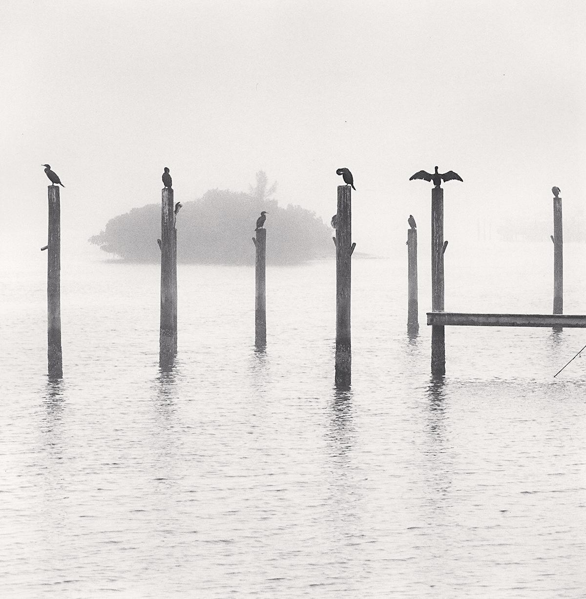 Michael Kenna Black and White Photograph - Seven Cormorants, Florida, USA