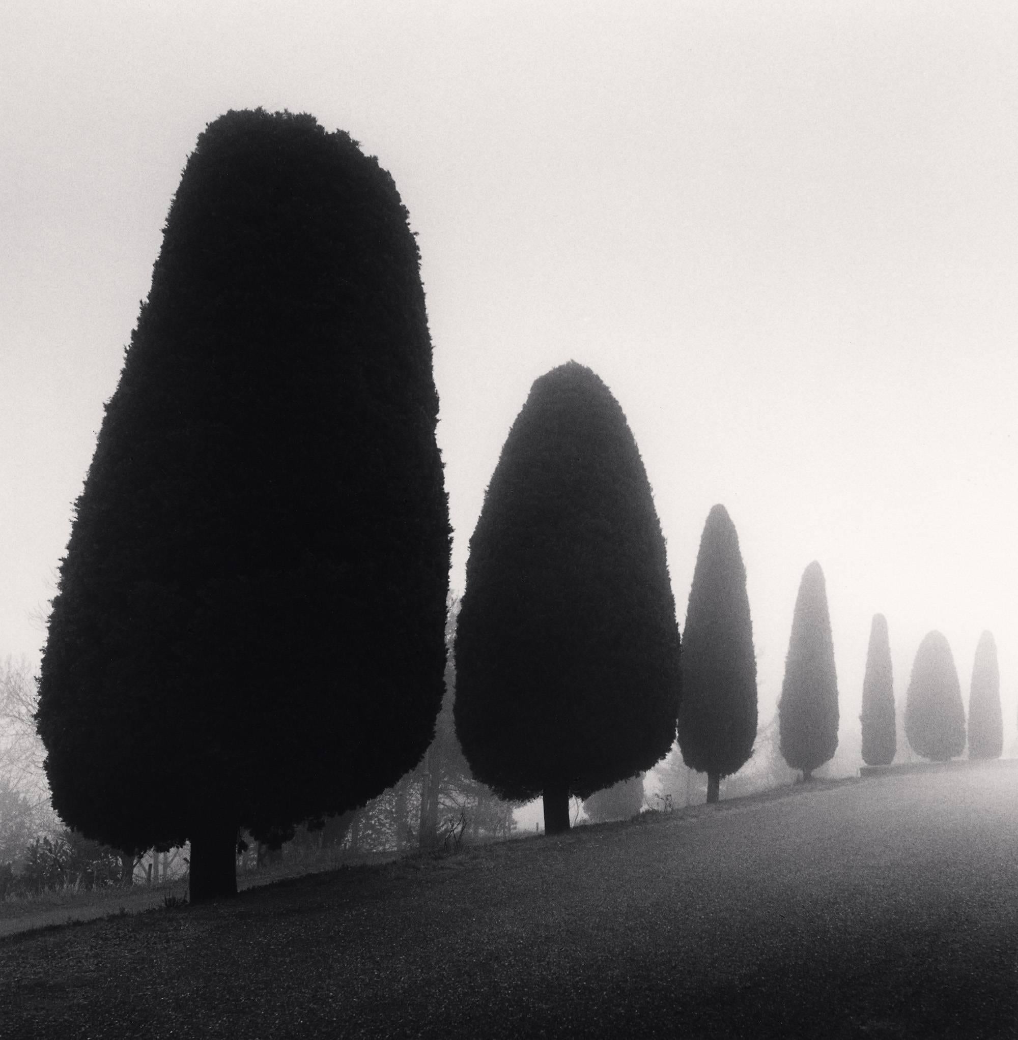 Michael Kenna Black and White Photograph – Sieben Bäume, Castello di Canossa, Italien, limitierte Auflage, Silbergelatinedruck 