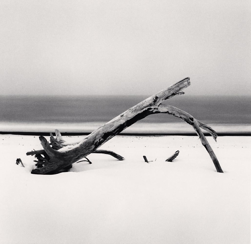 Michael Kenna Landscape Photograph - Shoreline Tree Remains, Hokkaido, Japan 