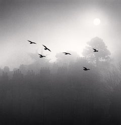 Six Flying Birds, Bath, Avon, England, 