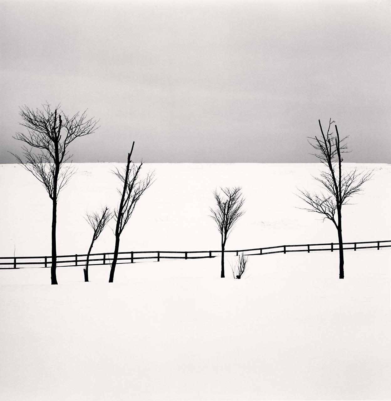 Michael Kenna Black and White Photograph - Six Sipetca Trees, Shibecha, Hokkaido, Japan 