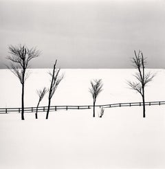 Six Sipetca Trees, Shibecha, Hokkaido, Japan 