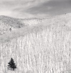 Schneebedeckter Hang, Pyeongchang, Südkorea. 2012