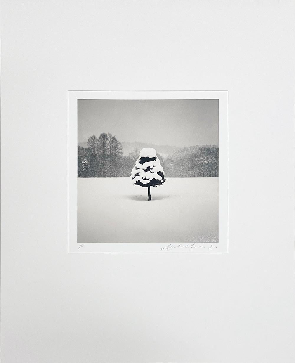 Parfait arbre de neige, Wakoto, Hokkaido, Japon par Michael Kenna, 2004 en vente 1