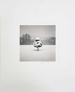 Snow Parfait Tree, Wakoto, Hokkaido, Japan by Michael Kenna, 2004