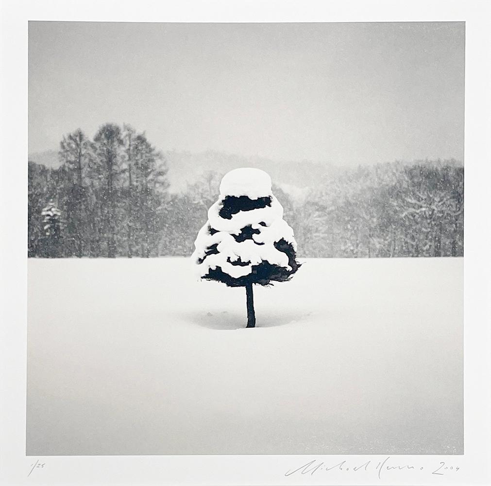 Parfait arbre de neige, Wakoto, Hokkaido, Japon par Michael Kenna, 2004 en vente 2