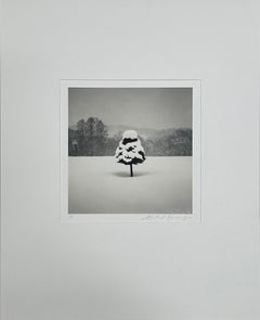 Snow Parfait Tree, Wakoto, Hokkaido, Japan by Michael Kenna, 2004