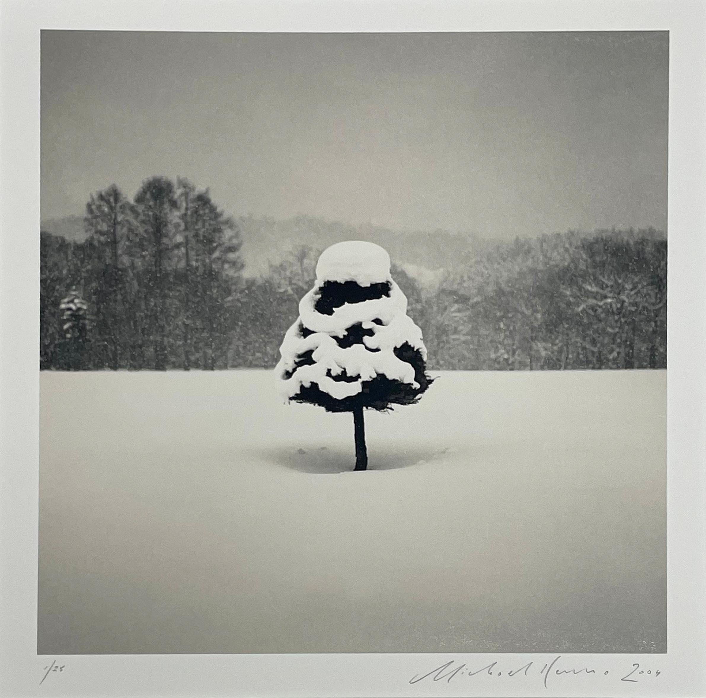 Snow Parfait Tree, Wakoto, Hokkaido, Japan by Michael Kenna, 2004 For Sale 2