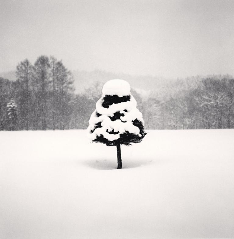 Snow Parfait Tree by Michael Kenna presents a sublime scene. A single tree stands tall in a snow covered field. Its branches are delicately covered in snow, appearing like a delicious frozen treat. 

Snow Parfait Tree by Michael Kenna is listed as