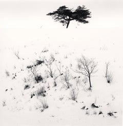 Snow Ridge Tree, Pyeongchang, South Korea. 2012