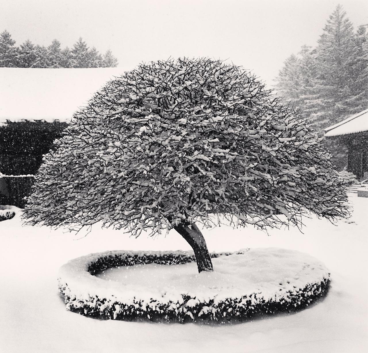 Michael Kenna Landscape Photograph - Snow Tree, Woljeongsa Temple, Gangwando