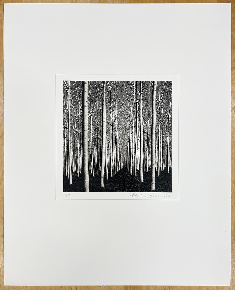 Peupliers de printemps, Pavie, Italie - Photograph de Michael Kenna