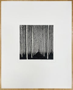 Álamos primaverales, Pavía, Italia