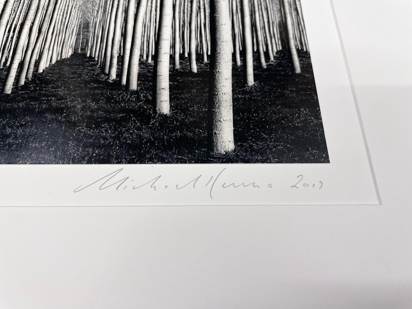 Peupliers de printemps, Pavie, Italie - Noir Landscape Photograph par Michael Kenna