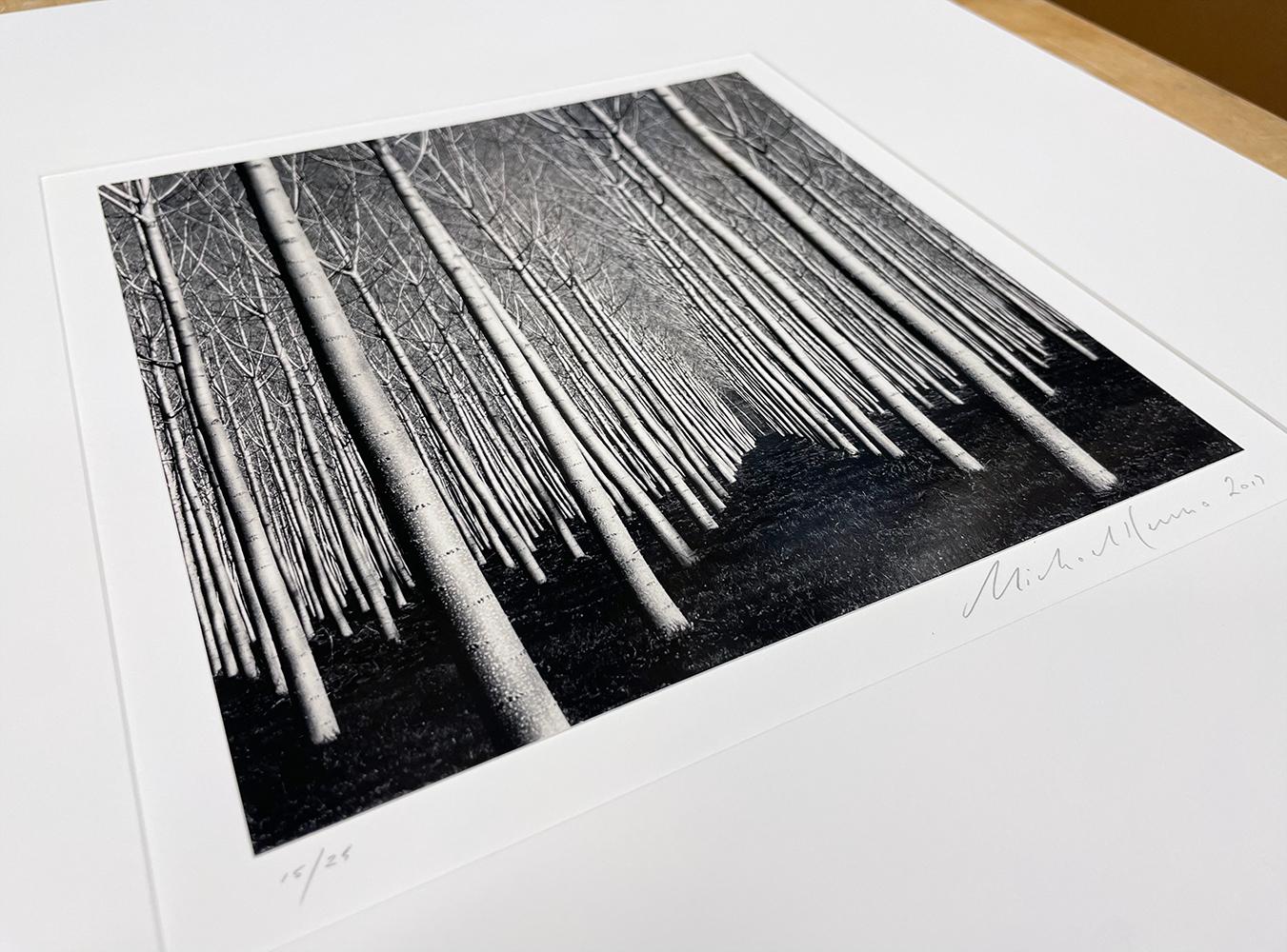 Edition de 25
Signé, titré, date du négatif, date du tirage et numéroté.
Épreuve gélatino-argentique en tonalités sépia

Les photographies en noir et blanc de Michael Whiting sont puissantes et séduisantes. Ses images vous transportent dans des