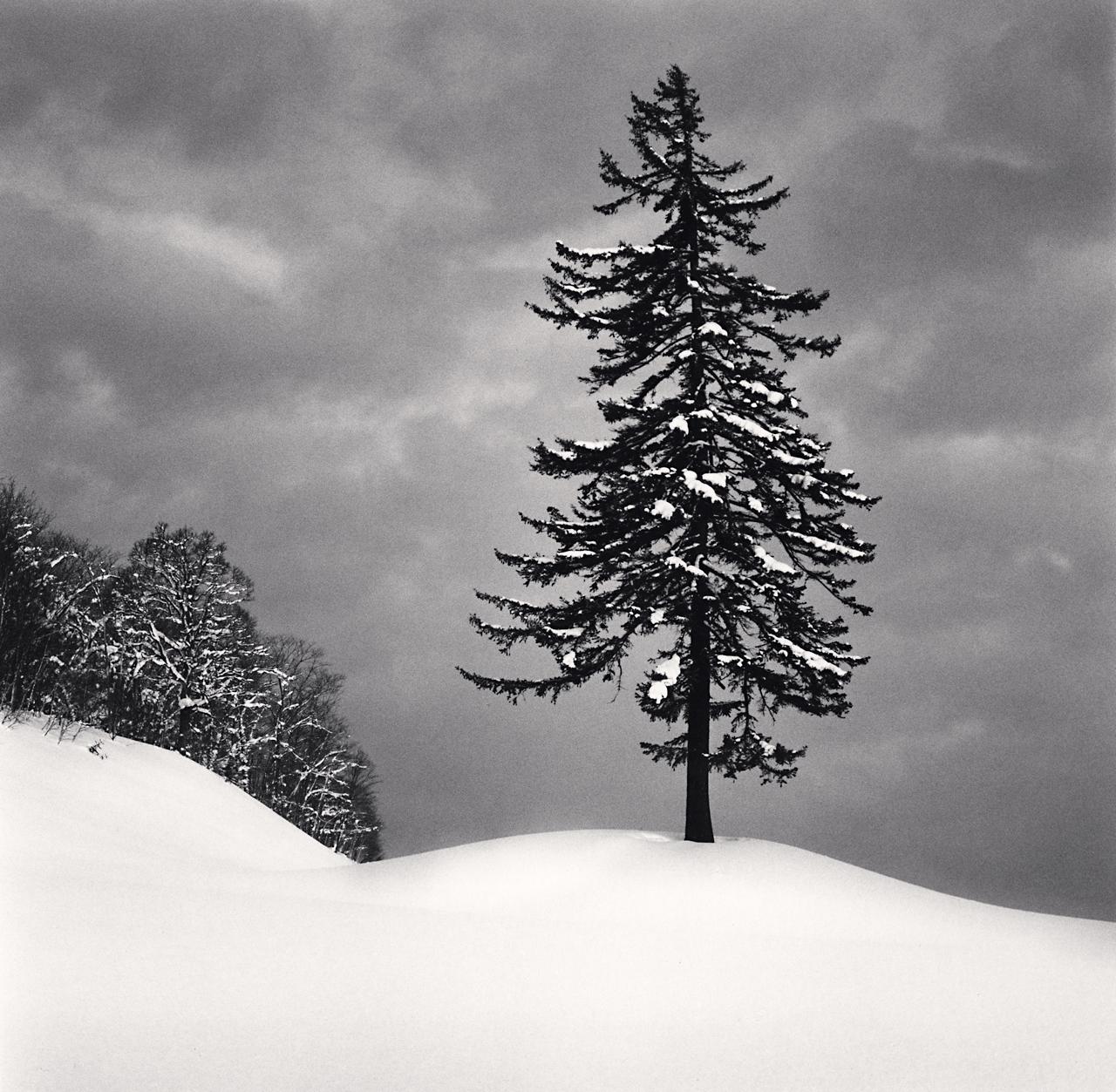 Michael Kenna Landscape Print - Spruce Tree and Snow Clouds, Esashi, Hokkaido, Japan, limited photograph 