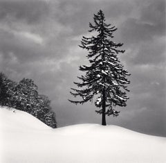 Spruce Tree and Snow Clouds, Esashi, Hokkaido, Japan, limitierte Fotografie 