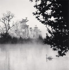 Swan sur le lac, Pyin U Lwin, Myanmar