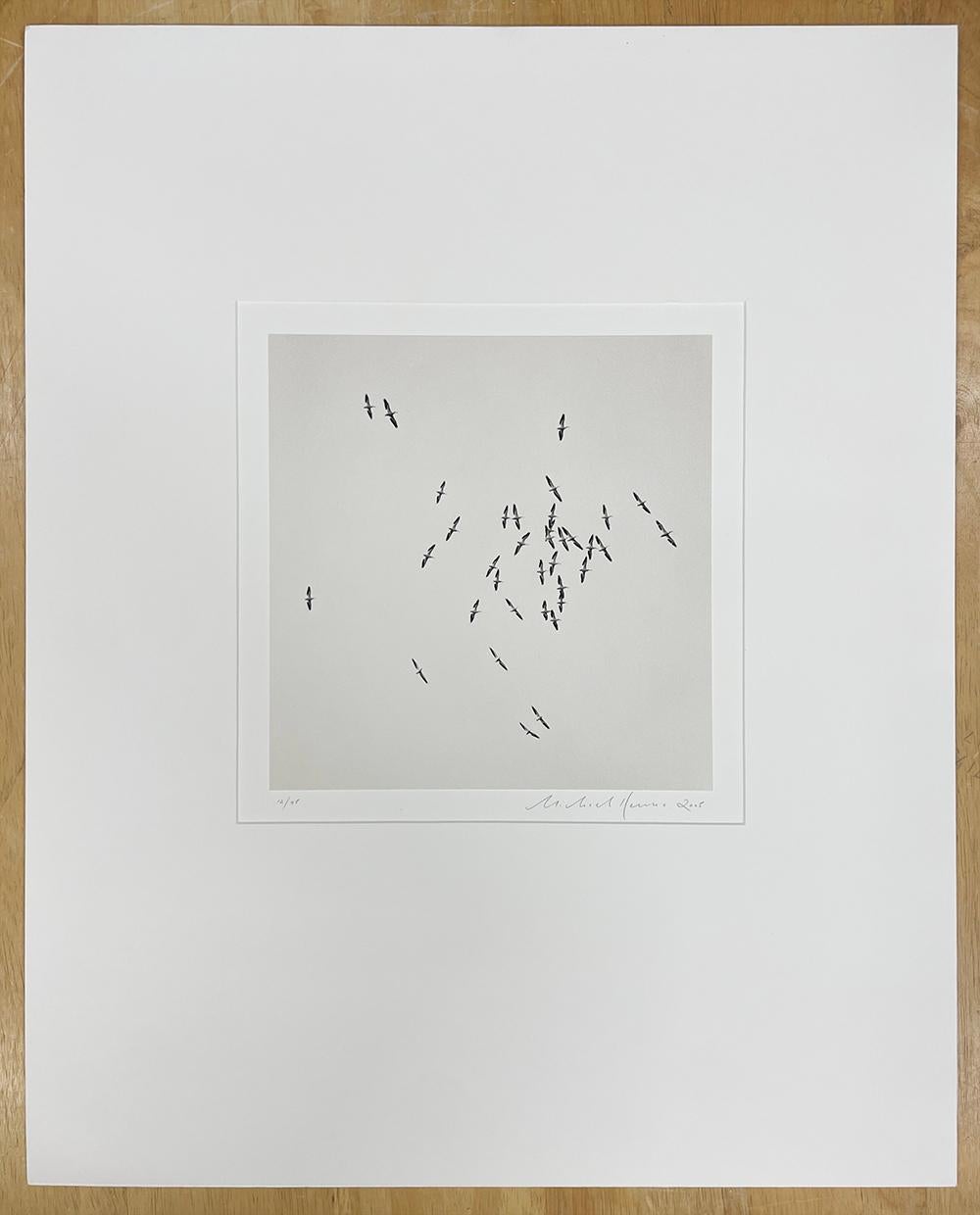 Thirty Six Birds, Isle of Skye, Scotland by Michael Kenna, 2005 For Sale 1