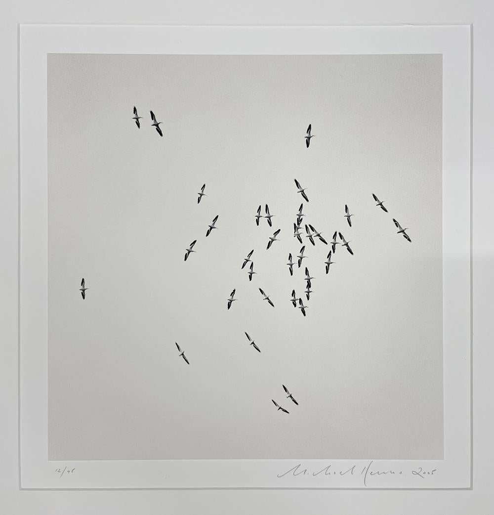 Thirty Six Birds, Isle of Skye, Scotland by Michael Kenna, 2005 For Sale 2