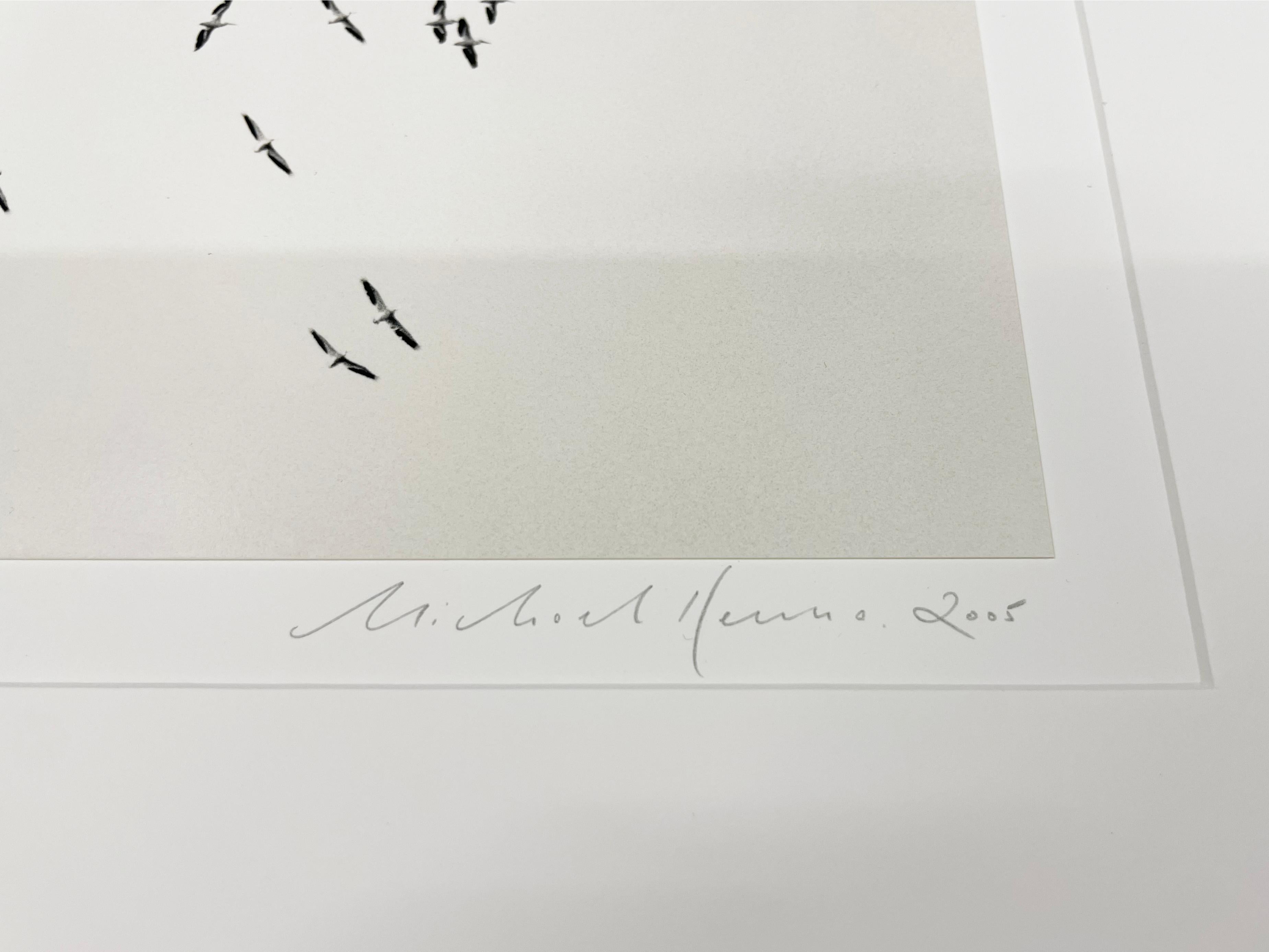Thirty Six Birds, Isle of Skye, Scotland by Michael Kenna, 2005 For Sale 3