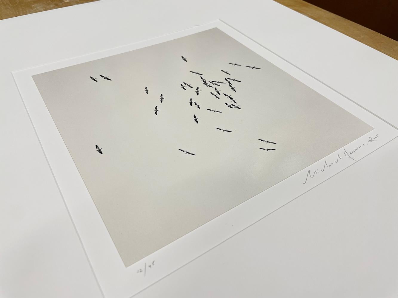 Thirty Six Birds, Isle of Skye, Scotland by Michael Kenna, 2005 For Sale 4