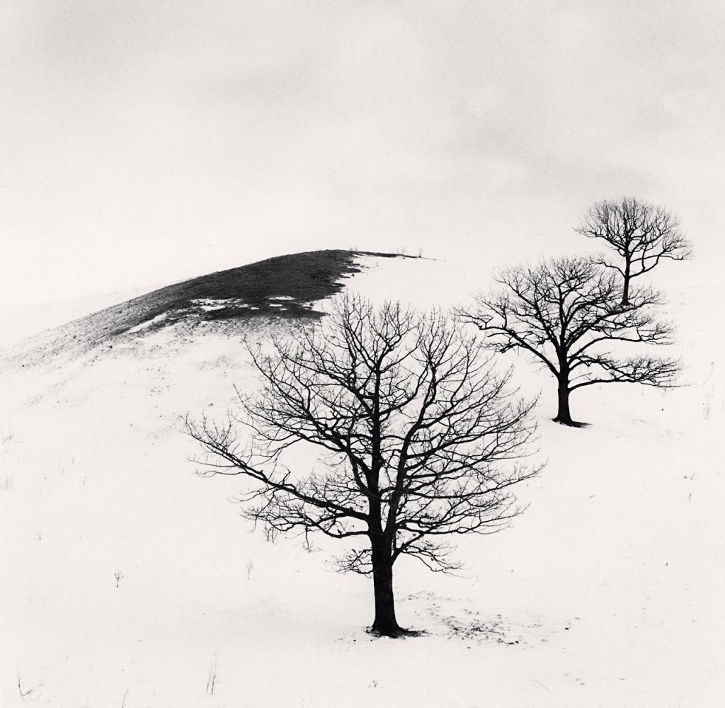 Michael Kenna Landscape Photograph –  Hokkaido, Japan, Übertöpfe mit Bäumen