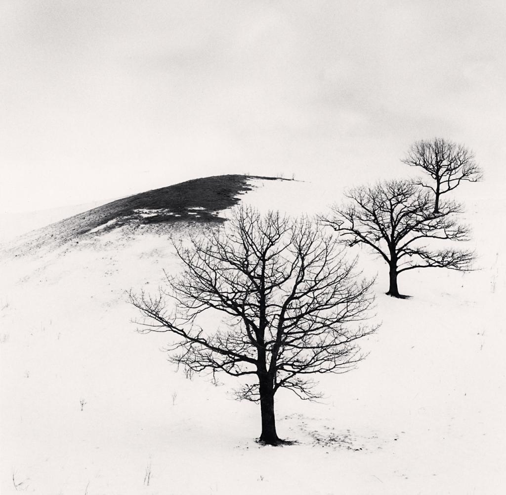 Michael Kenna Landscape Photograph - Three Trees in Pasture, Hokkaido, Japan