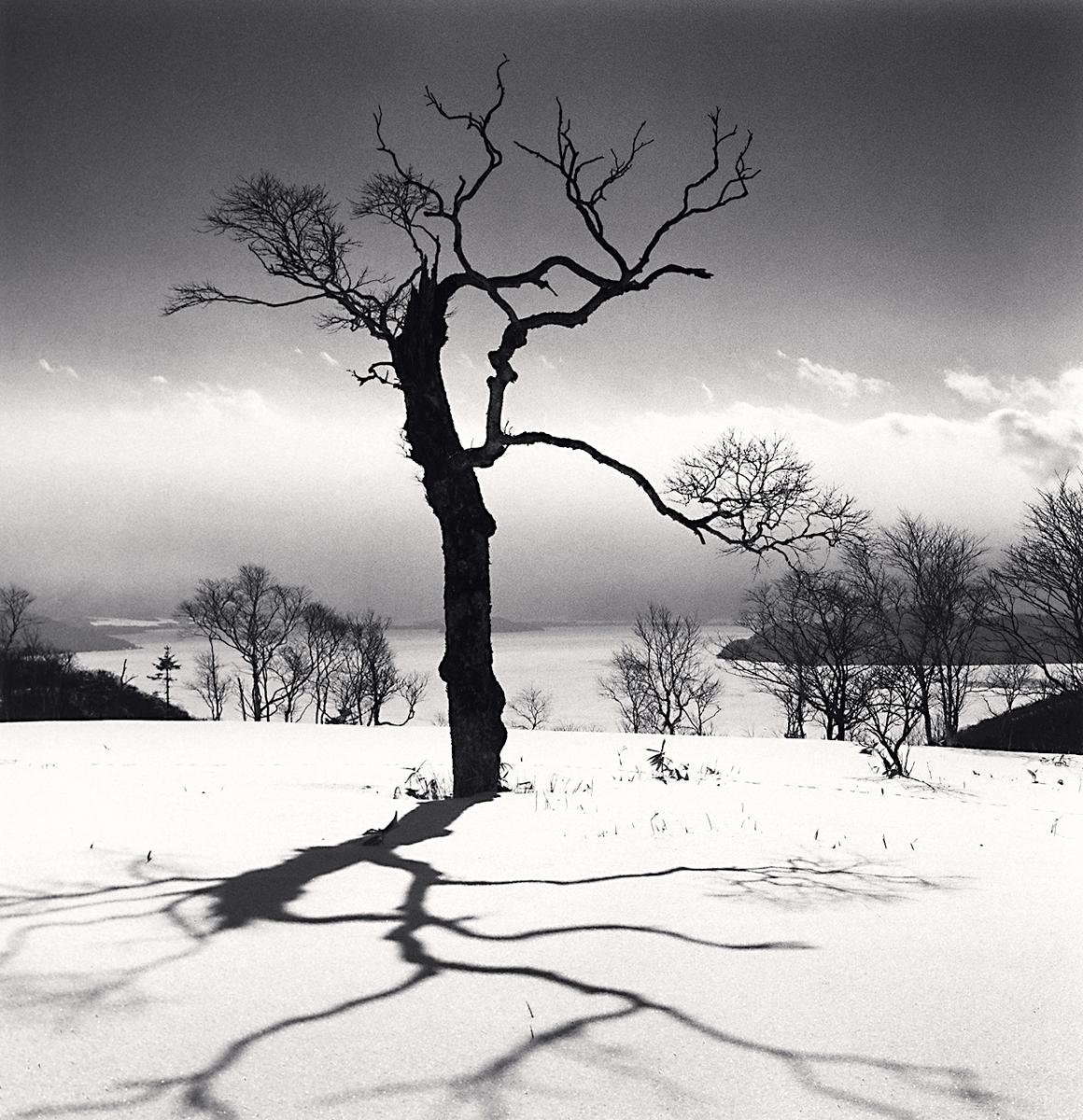 Tree and Kussharo Lake, Akan-Mashu Park, Hokkaido, Japan by Michael Kenna is a 8 x 8 inch* silver gelatin print, available in an edition of 25.
*Please note: the measurements of this print are approximated
This photograph is signed, titled, negative