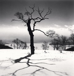 Baum und Kussharo-See, Akan-Mashu Park, Hokkaido, Japan, von Michael Kenna, 2023