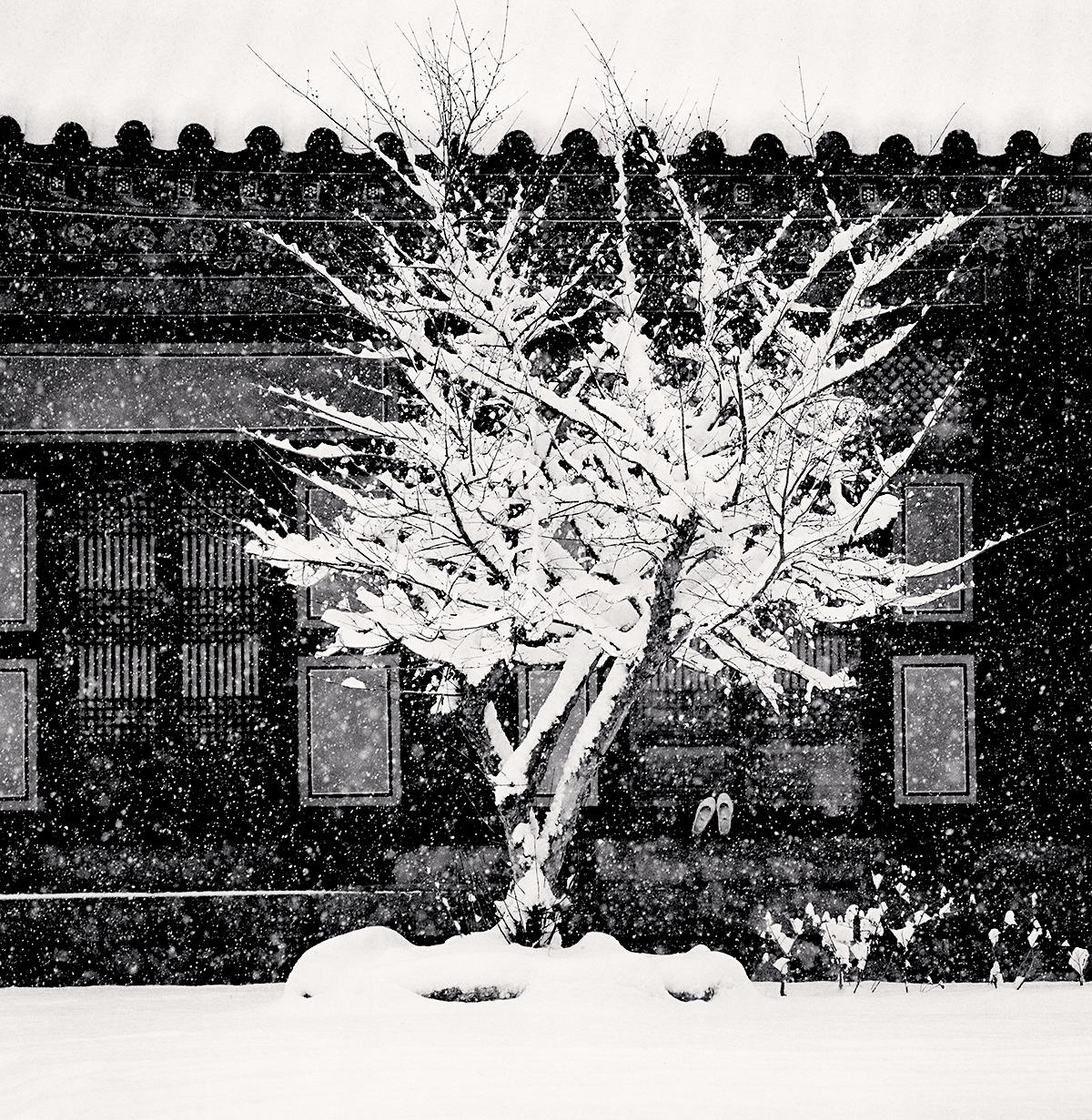 Michael Kenna Black and White Photograph - Tree and Slippers Woljeongsa Temple, Gangwondo, South Korea