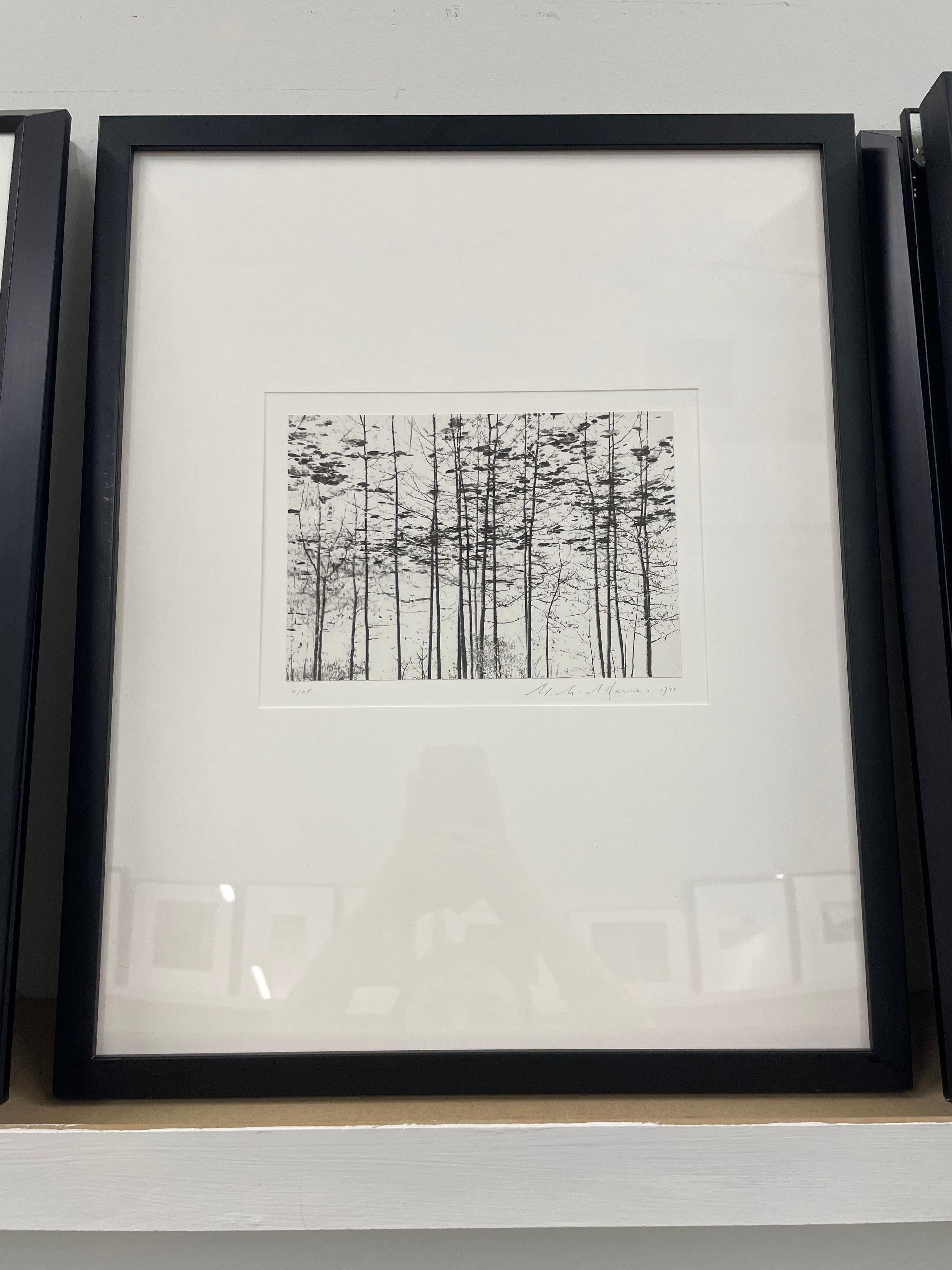 Trees, Yosemite, California, USA by Michael Kenna, 1977, Silver Gelatin Print For Sale 1