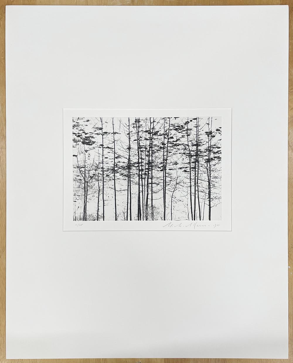 Trees, Yosemite, California, USA by Michael Kenna, 1977, Silver Gelatin Print For Sale 1