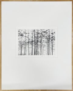 Trees, Yosemite, California, USA by Michael Kenna, 1977, Silver Gelatin Print