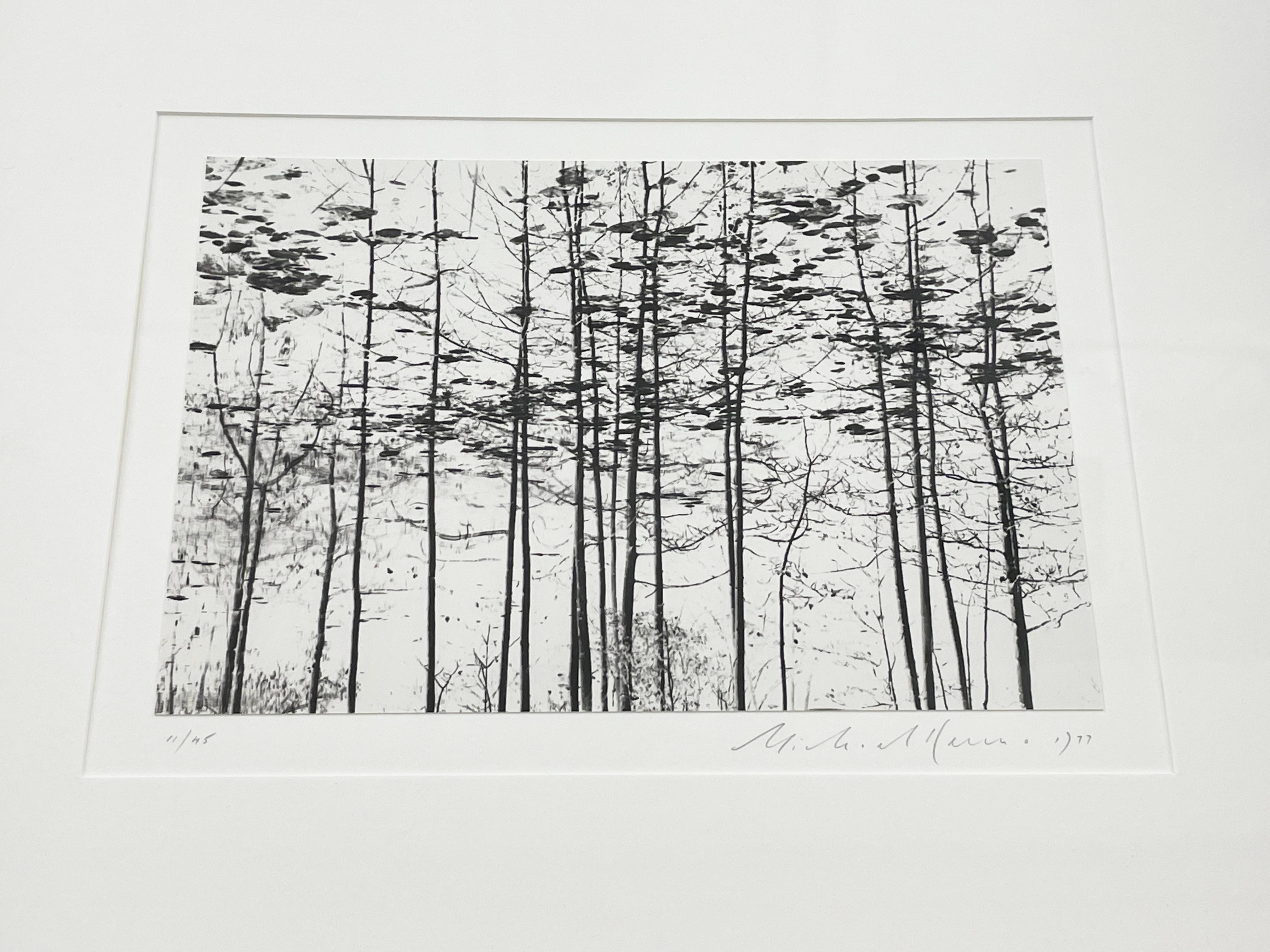 Trees, Yosemite, California, USA by Michael Kenna, 1977, Silver Gelatin Print For Sale 2