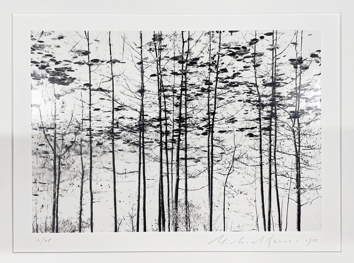 Trees, Yosemite, California, USA by Michael Kenna, 1977, Silver Gelatin Print For Sale 2