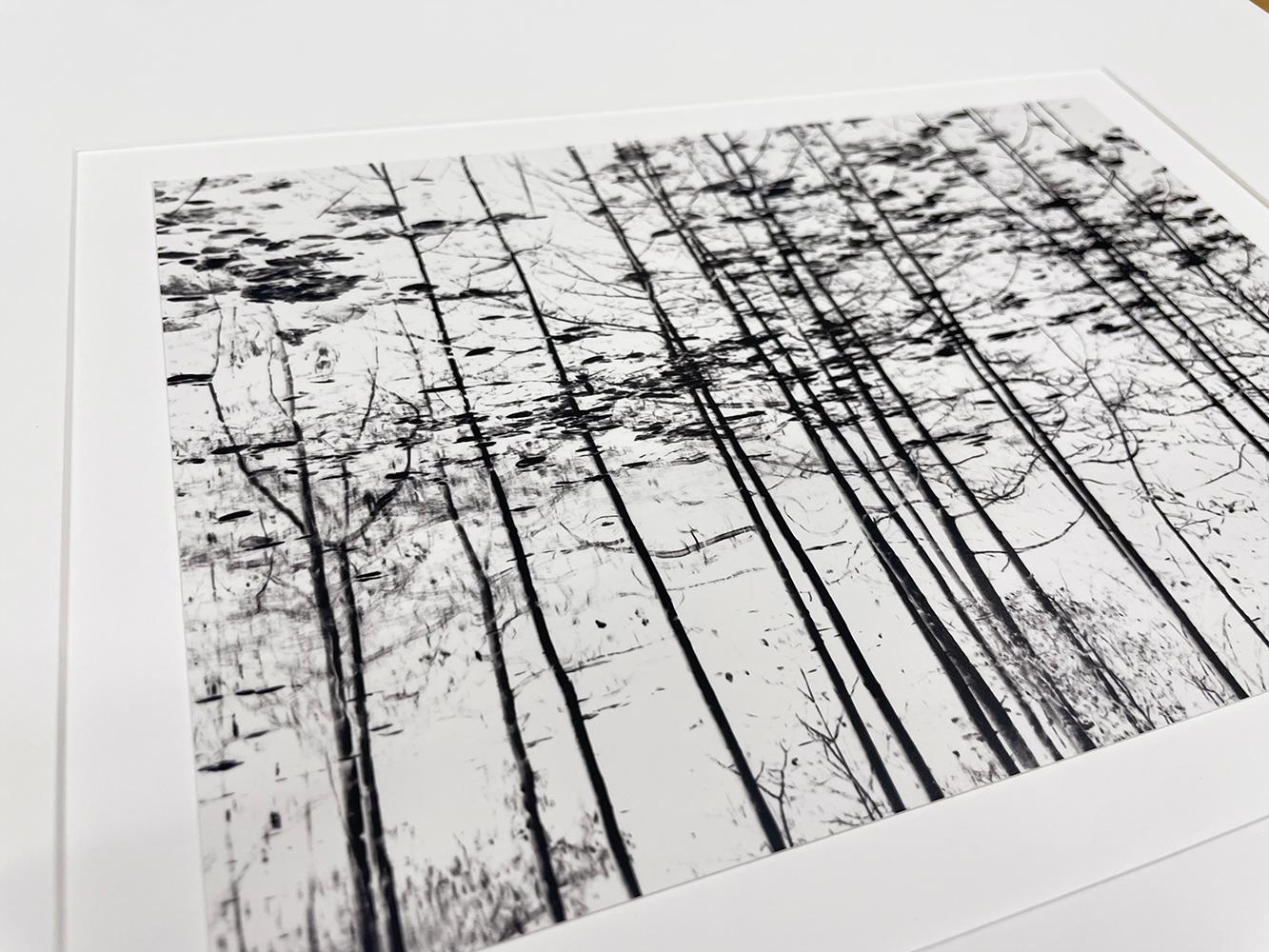 Trees, Yosemite, California, USA by Michael Kenna, 1977, Silver Gelatin Print For Sale 4