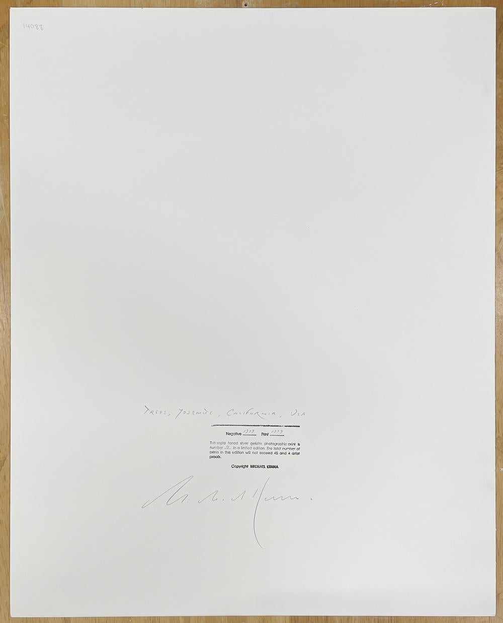Trees, Yosemite, California, USA by Michael Kenna, 1977, Silver Gelatin Print For Sale 5