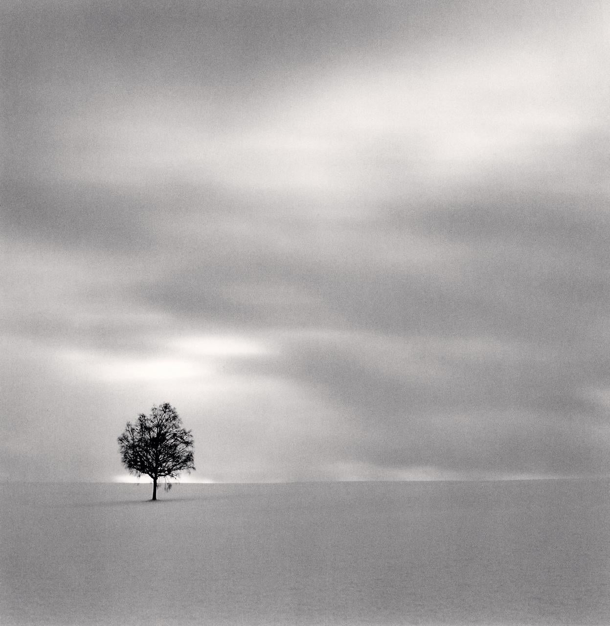 Michael Kenna Black and White Photograph - Twilight Tree, Higashi Kagura, Hokkaido, Japan 